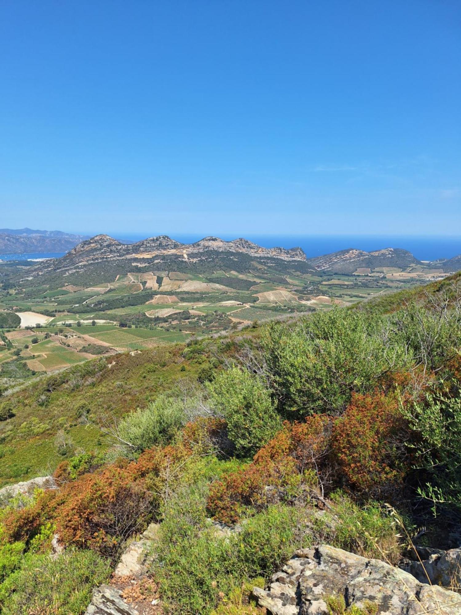 Le Clos Osteria Barbaggio Exteriér fotografie